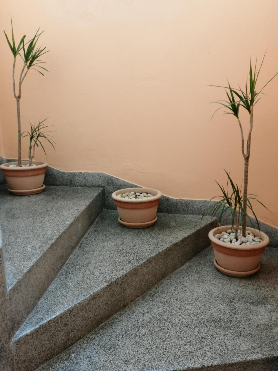 Apartment Singa Zadar Ngoại thất bức ảnh